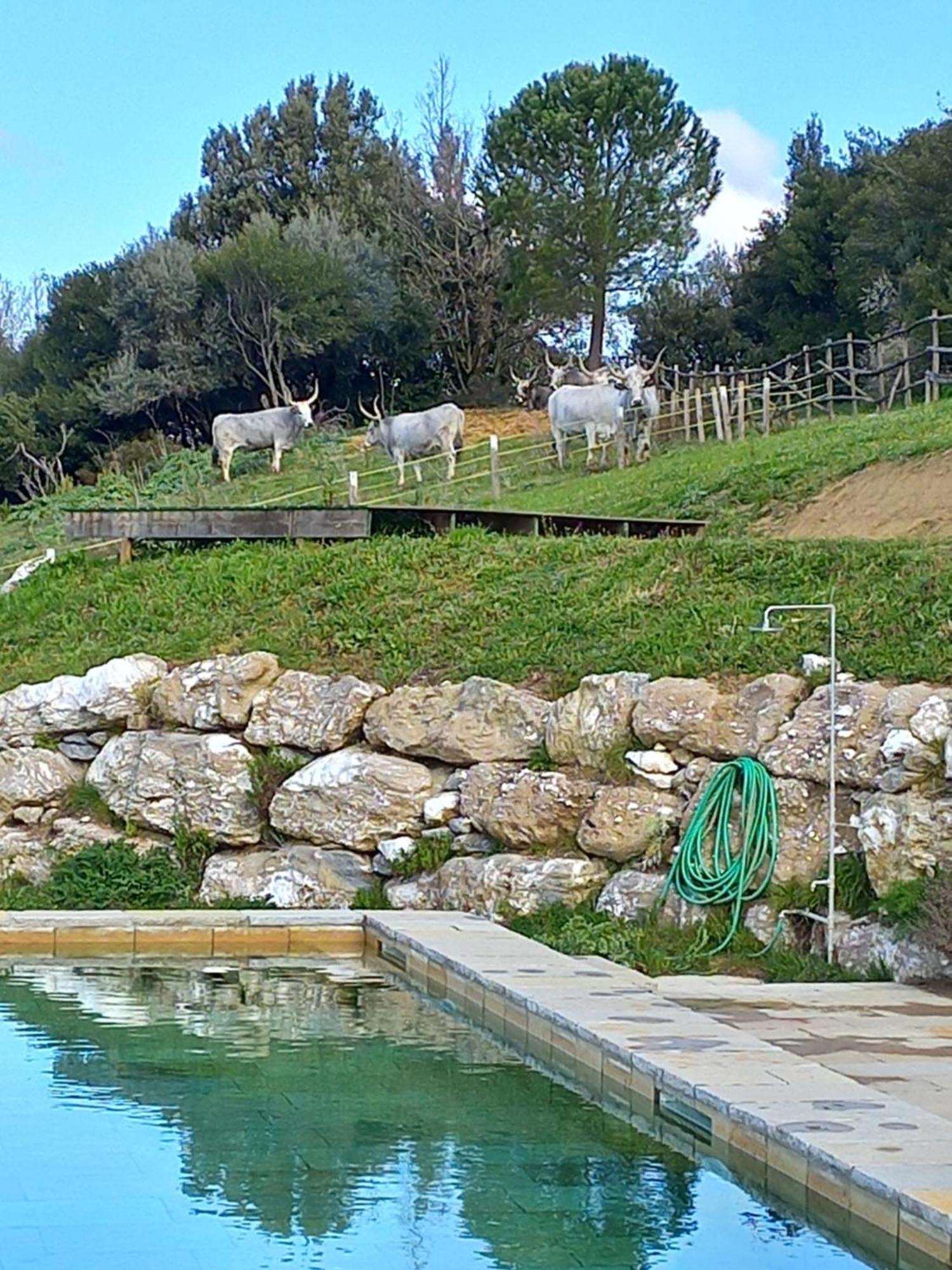 Case Di Gello Montecatini Val di Cecina Ngoại thất bức ảnh